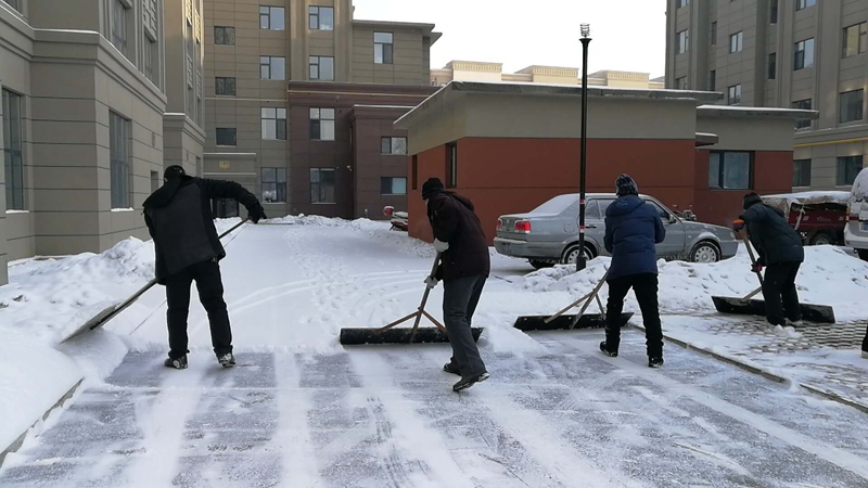 2018-3-8二区东清雪3.jpg